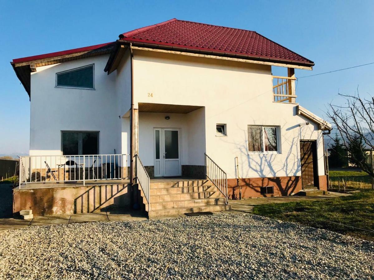 Vila Ekooos Brasov Exterior photo