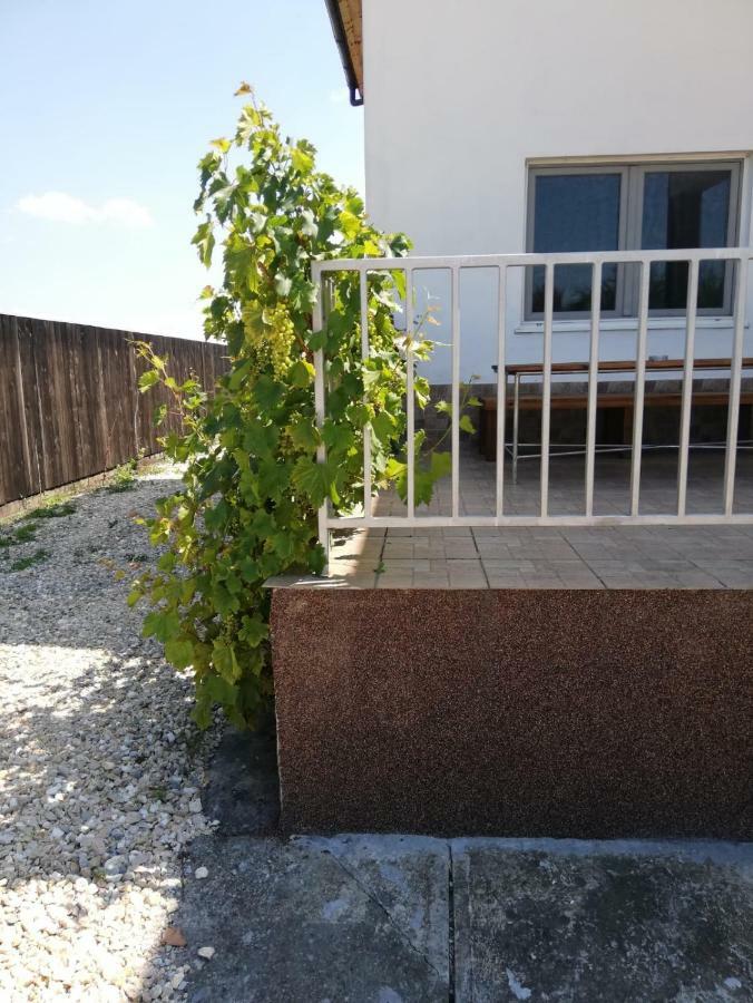 Vila Ekooos Brasov Exterior photo